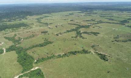 Fazenda de 33.293 mil hectares no município da cidade de Nova Bandeirantes no es