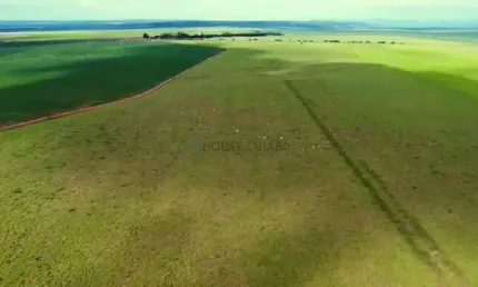Fazenda de 723 hectares na região da cidade de Rondonópolis no estado de Mato Gr