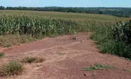 Fazenda de 320 hectares no município da cidade de Juscimeira no estado do Mato g
