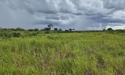 Área de terra de 3.456,03 hectares no pantanal Sul Mato-grossense.
