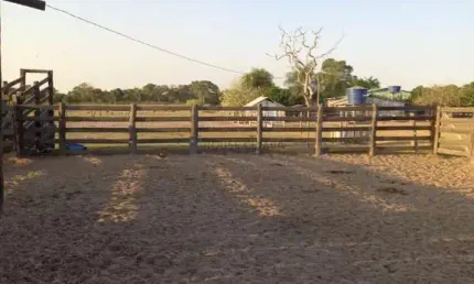 Fazenda de 517 hectares na região entre Pirisal e a cidade de Nossa senhora do l