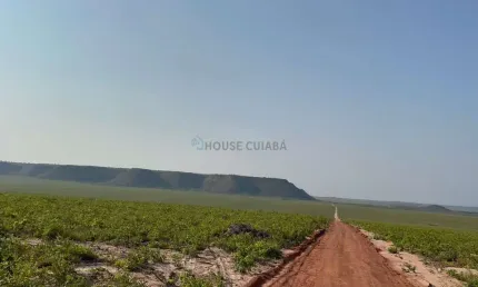 área rural de 15.700 hectares no município de Alto Parnaíba/MA