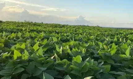 Fazenda à venda na 07 Km De Itacaja To, Gildo, Zona Rural, Itacajá