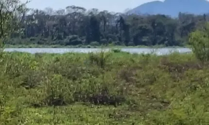 Vendo!!! um sitio de 4.2 hectares na região da canoa quebrada no município da ci