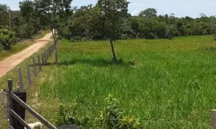 Chácara / sítio com 1 quarto à venda na Coxipo Do Ouro, 42, Coxipó, Cuiabá