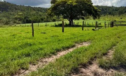 Fazenda de 595 hectares a venda em novo sao joaquim - mt