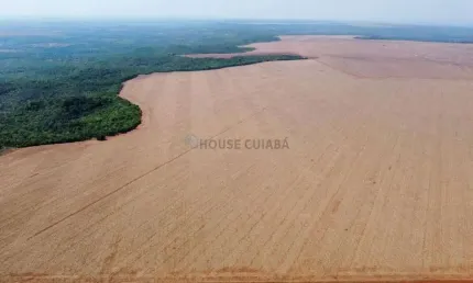 Fazenda de 3.705 hectares sendo 1.950 hectares em lavoura no mt.