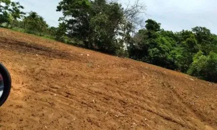 Fazenda à venda na Zona Rural, 00, Tira Sentido, Alto Paraguai