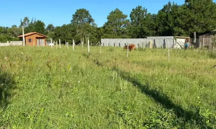 Terreno à venda na Rodovia Evádio Paulo Broering, Pinheira, Palhoça