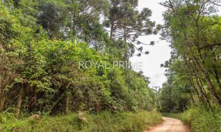 Chácara a venda na Estrada da Baitaca com potencial residencial e comercial com 20mil m2 - Quatro Barras-PR