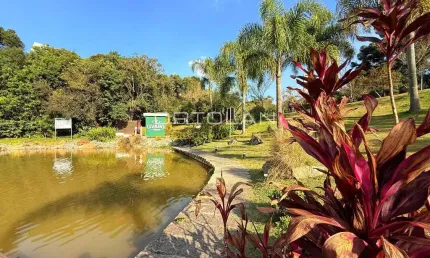 Apartamento 50m² - 02 Dormitórios - Santo Antônio - São José dos Pinhais-PR