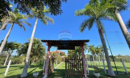 Venda  - Granja - Sítio - Goianá - MG - 2400 m² com estrutura completa - Casa , piscina, campo, área gourmet, muito verde, pomar ....