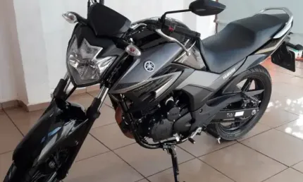 Yamaha   ys 250 fazer blueflex  street