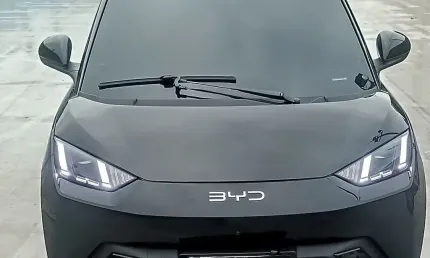 Byd dolphin mini 38 kw elétrico 5l