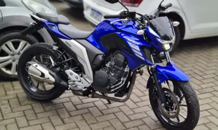 Fz25 250 fazer flex