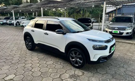 C4 cactus 