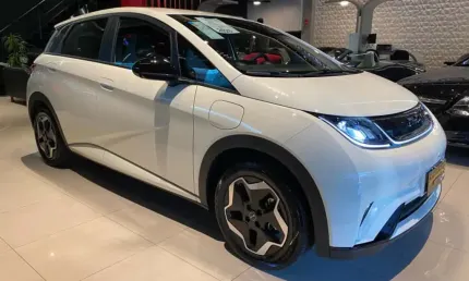 Byd dolphin 44,9 kw elétrico gs