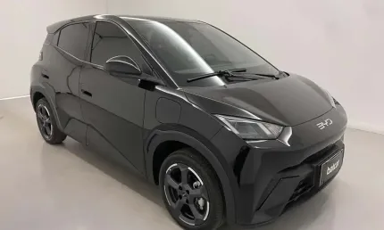 Dolphin mini gs5ev 