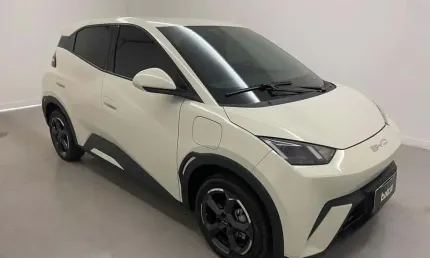 Byd dolphin mini gs ev 2025