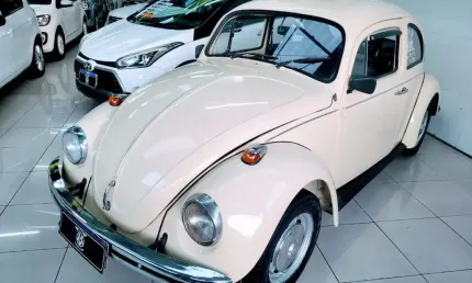 Fusca bom