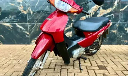 C 100 biz es