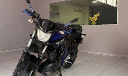 Mt03 abs 