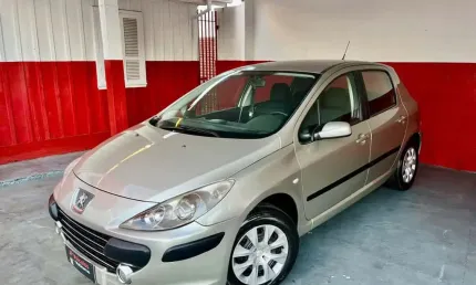 Peugeot 307 16 fx pr 2009