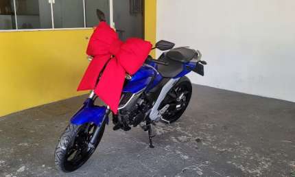Yamaha fazer 250 2021