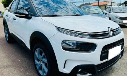 Cactus 2022 impecavel
