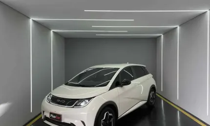 Byd dolphin 2024 44,9 kw elétrico gs