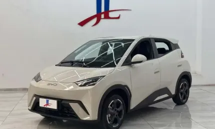 Byd dolphin mini gs ev 2025