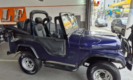 Ford jeep gasolina manual