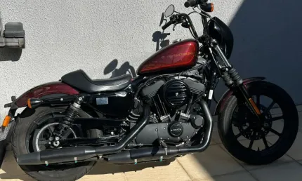 Iron 1200