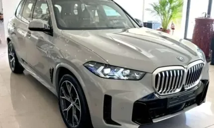 Bmw x5 xdrive 50e 3.0 x-line aut. (hibrido)