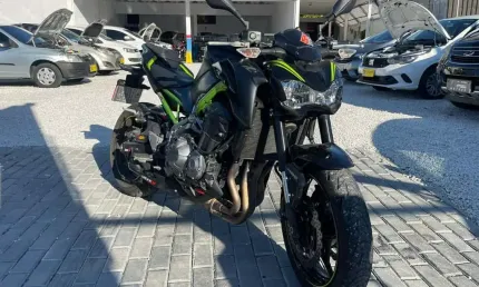 Kawasaki z 900 2019