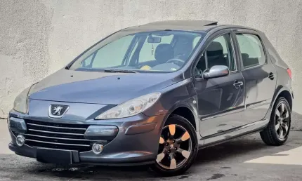 Peugeot 307 1.6 presence pack 16v flex 4p manual 2010