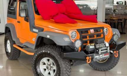 Troller t4 tdi 3.0 2009