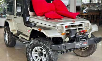 Troller t4 tdi 2004