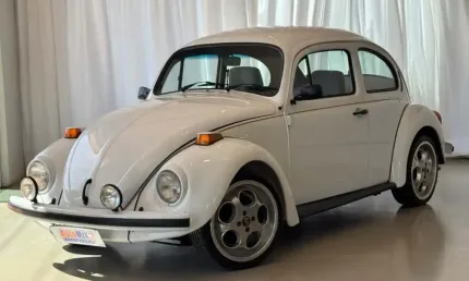 Volkswagen fusca fusca