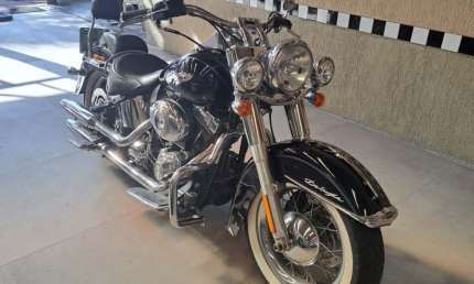 Harley davidson softail deluxe flstn