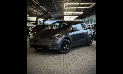 Tesla model y model y