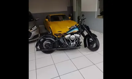 Harley-davidson softail heritage springer flsts 2009