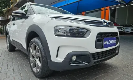 C4 cactus feel 1.6 at