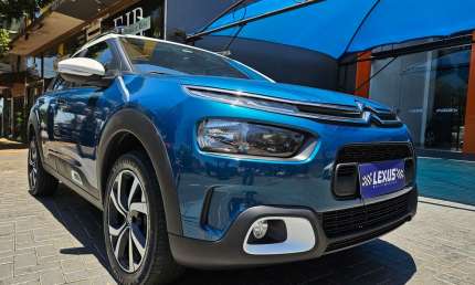 C4 cactus feel pack