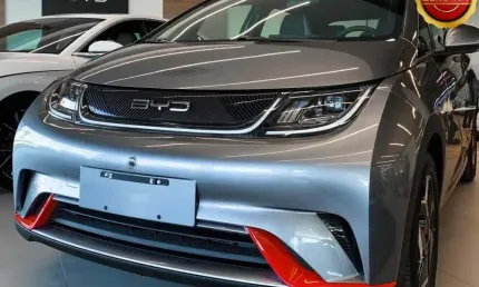 Byd dolphin 2025 44,9 kw elétrico gs