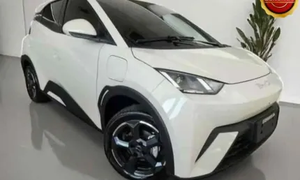 Byd dolphin mini 2025 38 km elétrico