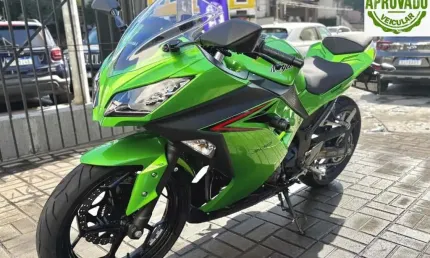 Kawasaki ninja 300 2024