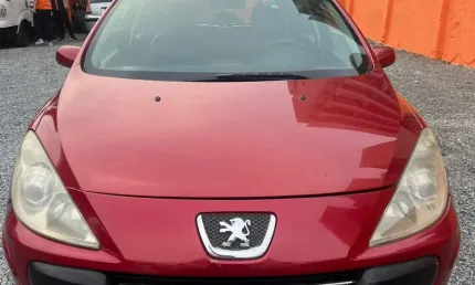 Peugeot 307 16 pr pk 2009