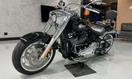 Harley-davidson fl fbs 2024