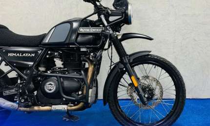 Himalayan 411